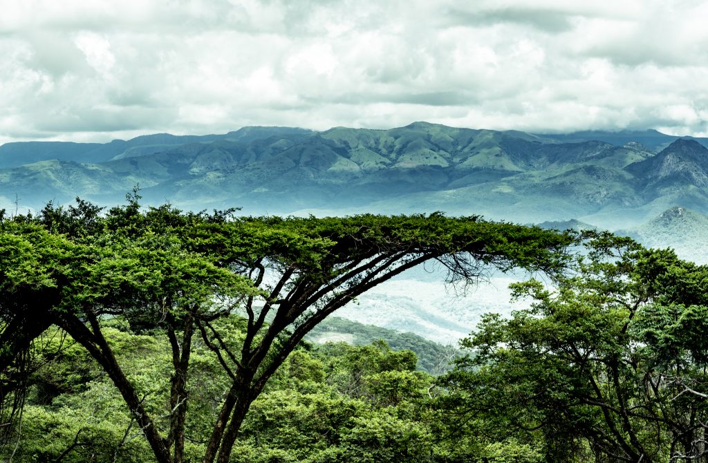 shutterstock_787955008 1024x670 1